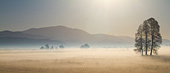 paesaggio naturalistico fotograffato nella nebbiolina all'alba - foto marcello B