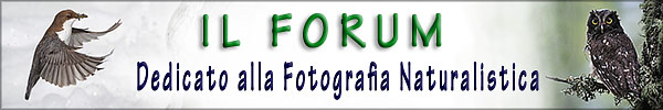 Forum fotografianaturalistica e cacciafotografica, fotografia di animali, uccelli, macrofotografia