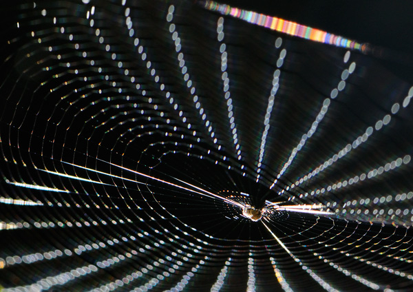 Vertigine geometrica.jpg