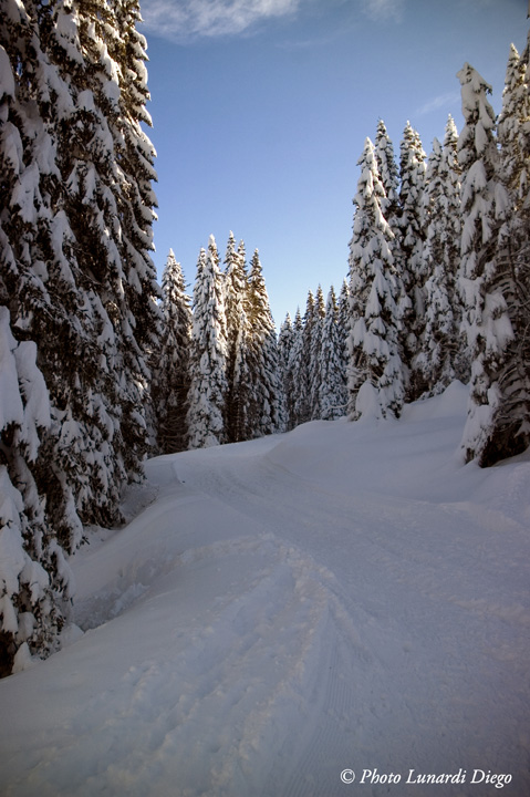 DSC_4792.jpg