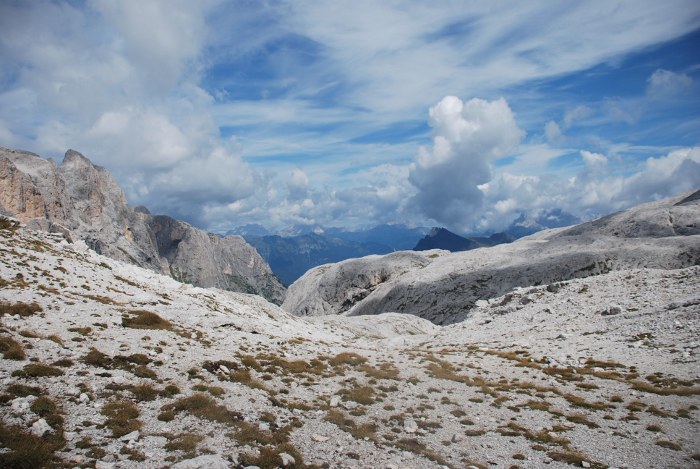 DSC_1107.jpg