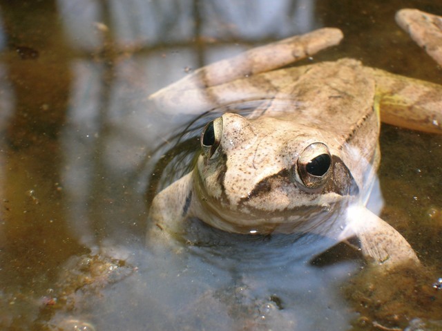 DSCN2801web.jpg