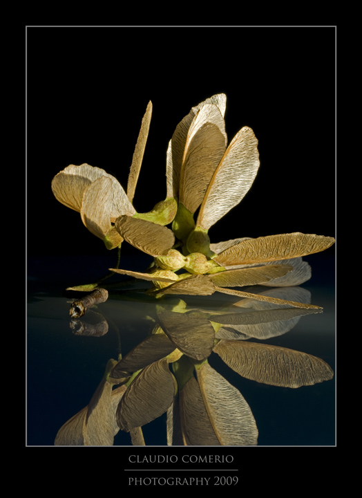 _DSC4257-web.jpg
