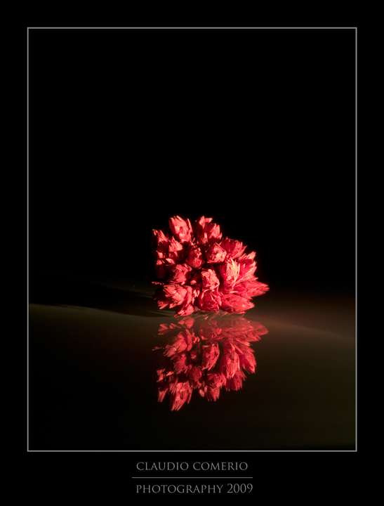 _DSC4260-web.jpg