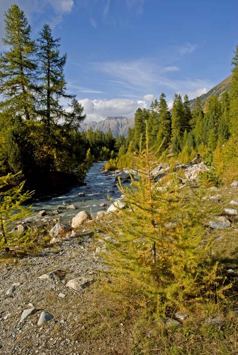 val roseg 1.jpg