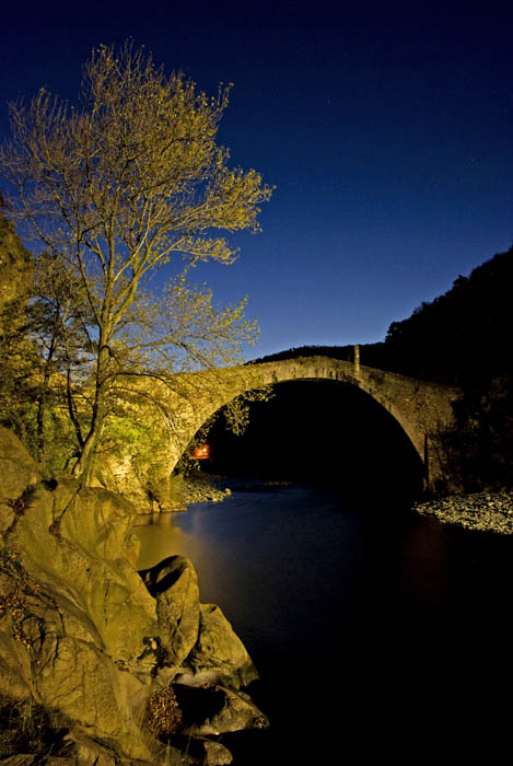 ponte by night 3.jpg