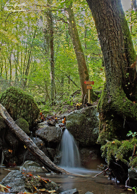 val-dei-mulini-1.jpg