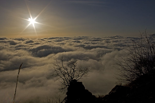 mare di nebbia.jpg