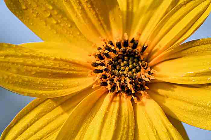 20081020_4.jpg