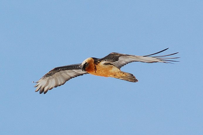 DSC_7472.jpg