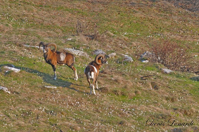DSC_4974 copia.jpg