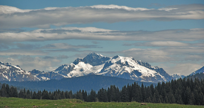 DSC_1302 (2).JPG