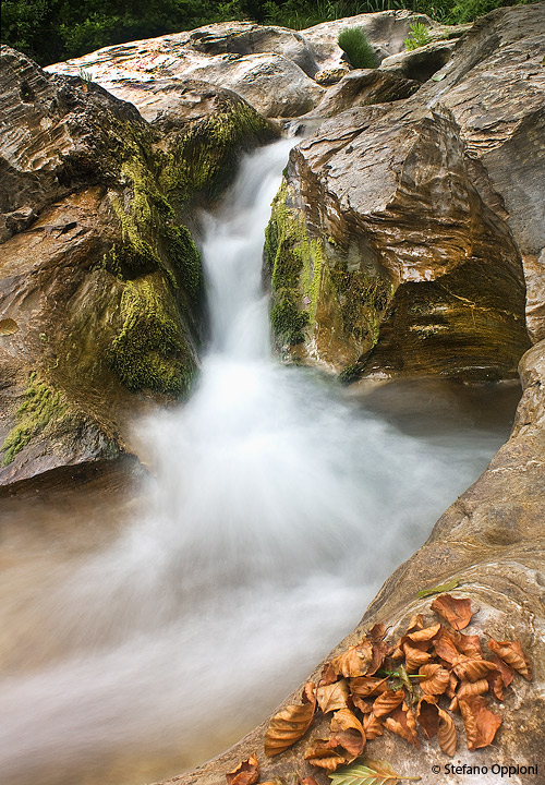 _MG_3630e720.jpg