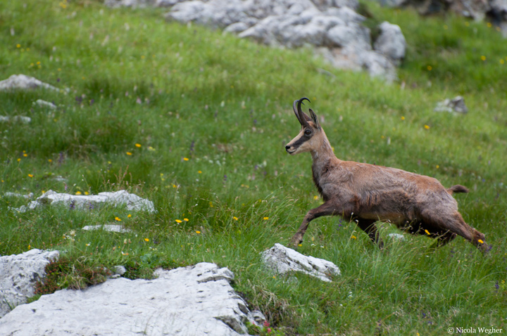 DSC_0687_720.jpg