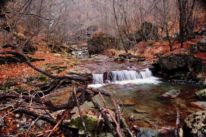 DSC_0025.jpg