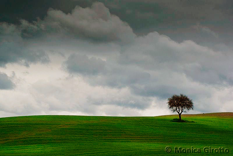 Toscana.jpg