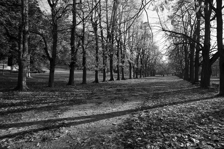 parcotalon.jpg