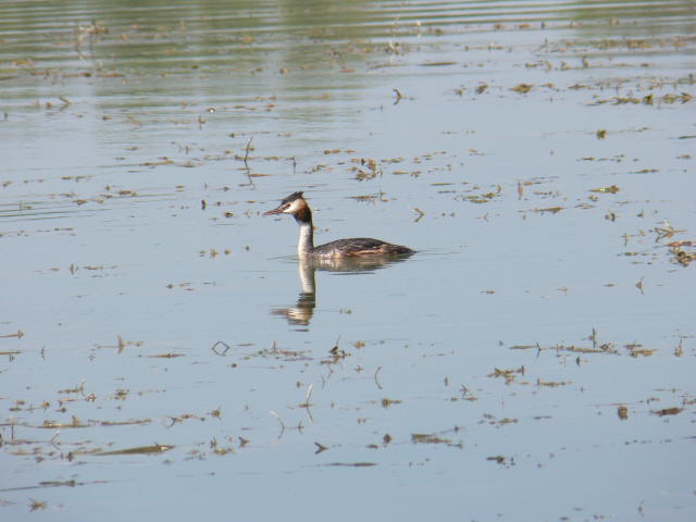 P1000059.jpg