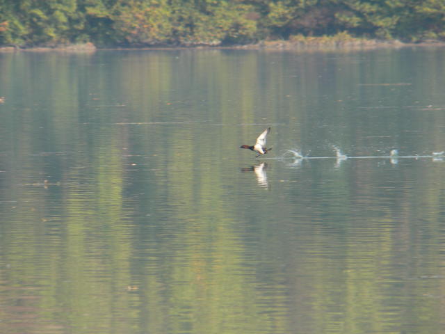 P1020630.jpg