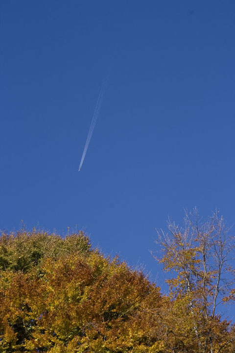291110_7.jpg