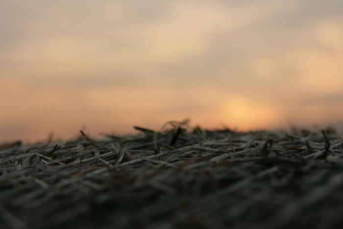 Immagine 136.jpg