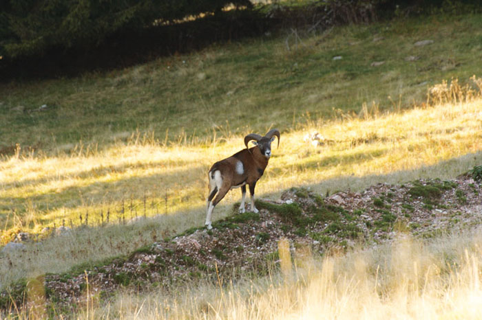 IMG_8987_2.jpg