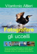 copertina_libro.jpg