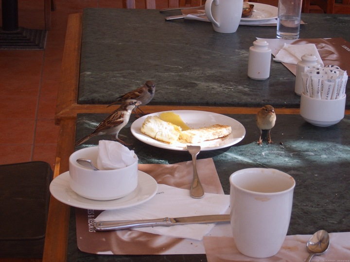 colazione.JPG