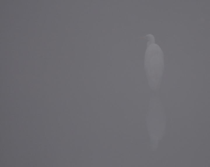 DSC_2592.jpg