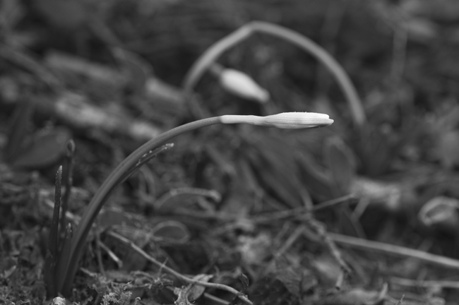 _DSC5846.jpg