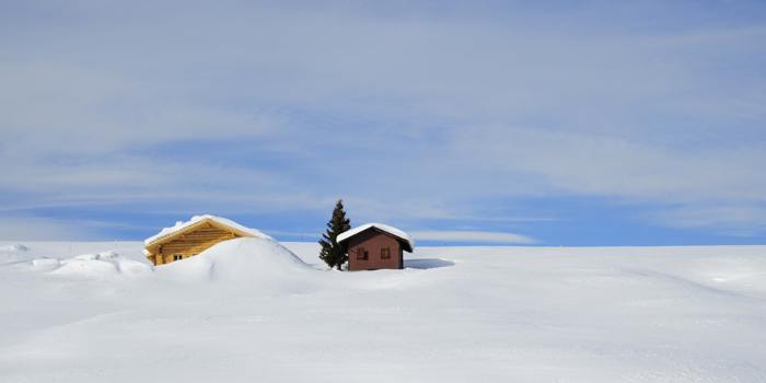 ALPE 1.jpg