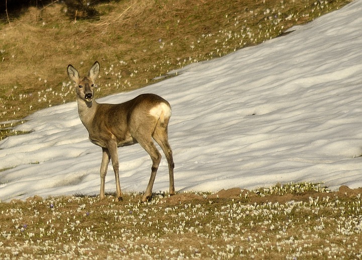 _DSC5992-web.jpg