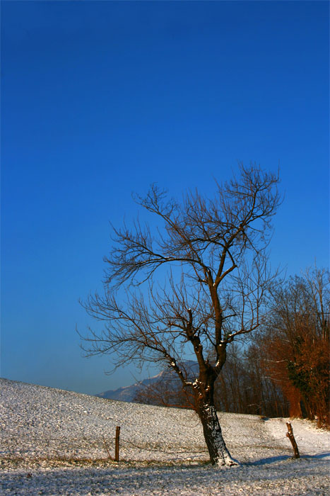 Immagine 027 copia.jpg