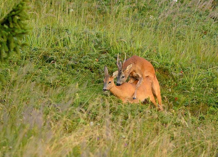 DSC_3739-web.jpg