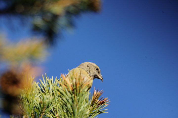 DSC_0752 jpg.jpg