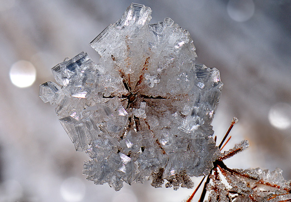 Natale-2011.jpg