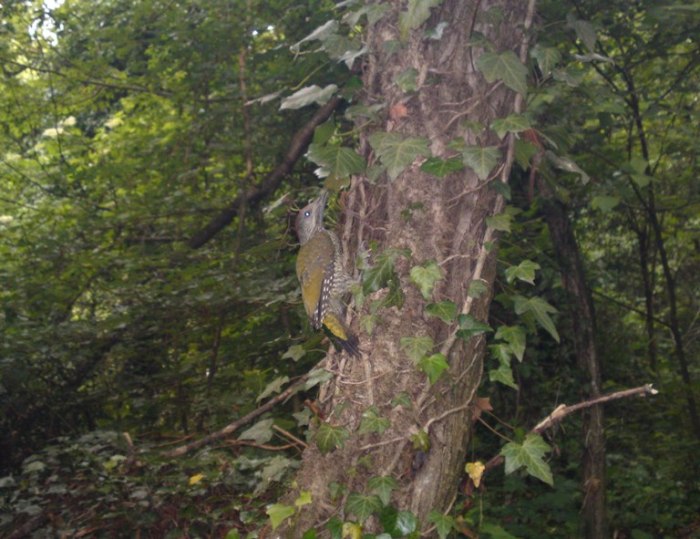 28052012158.JPG