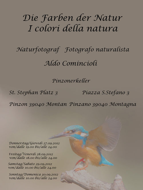 Flyer500.jpg