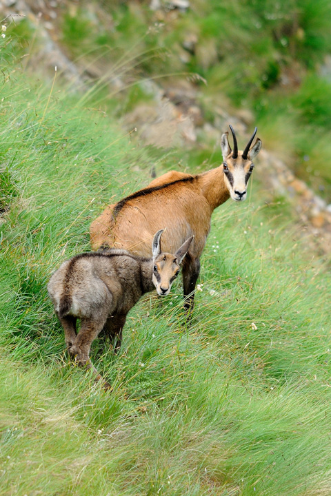 DSC_0069.jpg