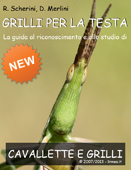 ebook_orthoptera_new.jpg