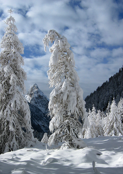 dal Passo Fedaia.jpg