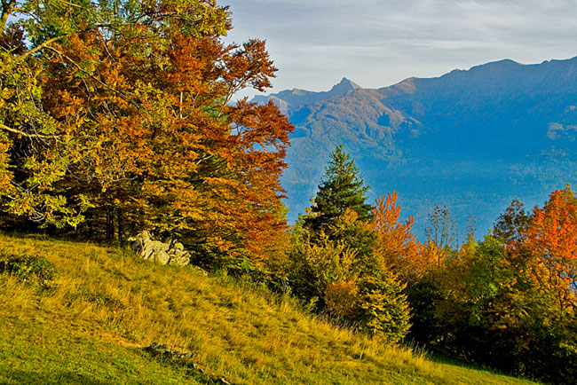 Autunno_Avanze08_1335.jpg