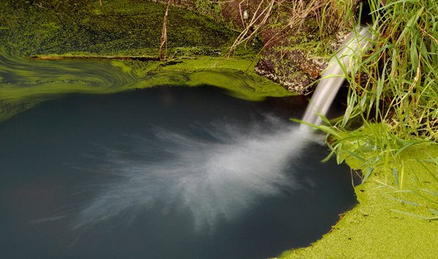 _IGP7435_crop.jpg