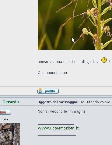 immagine.jpg
