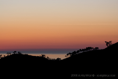 christmas in versilia.jpg