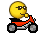 Moto Moto