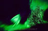 Gallery Fotografia naturalistica Gallery Alaska