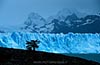 Gallery Fotografia naturalistica Patagonia Gallery
