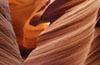 Gallery Fotografia naturalistica Usa