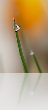 Goccia_001